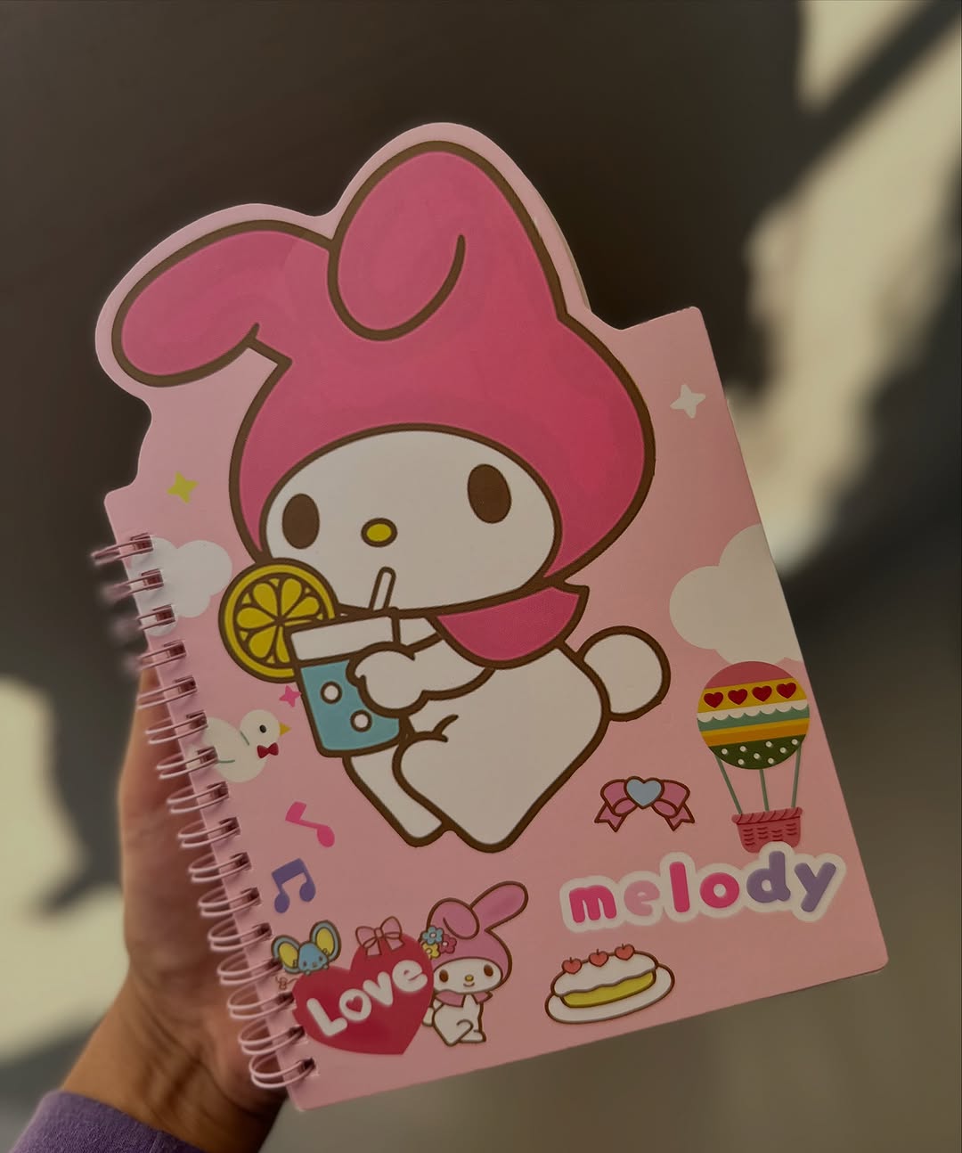 Cartoon Shaped Spiral Diary