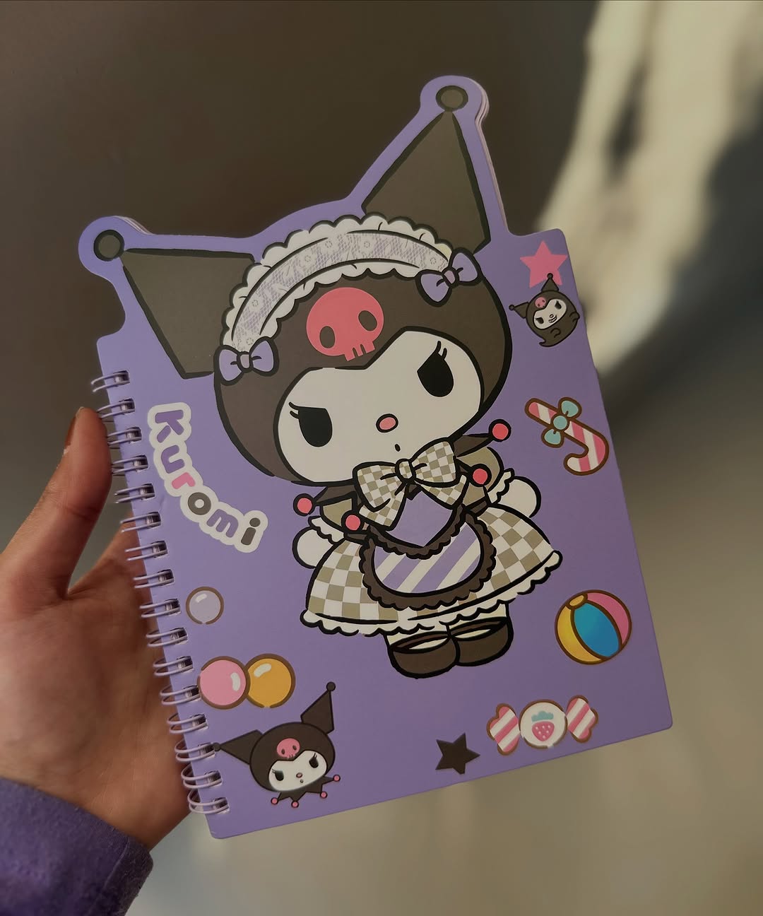 Cartoon Shaped Spiral Diary